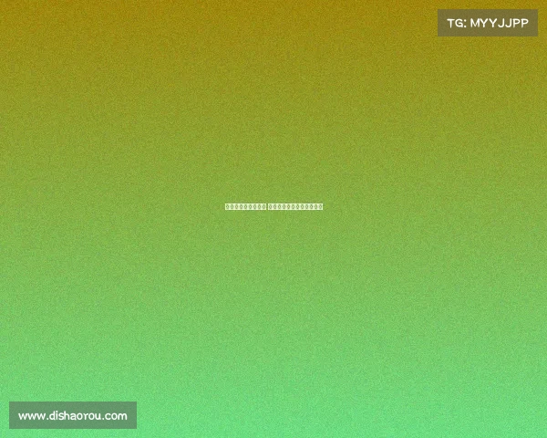 不来梅重塑辉煌之路 德甲新势力崛起的背后故事